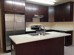 Black Coffee Shaker with White QuartzStone counter top